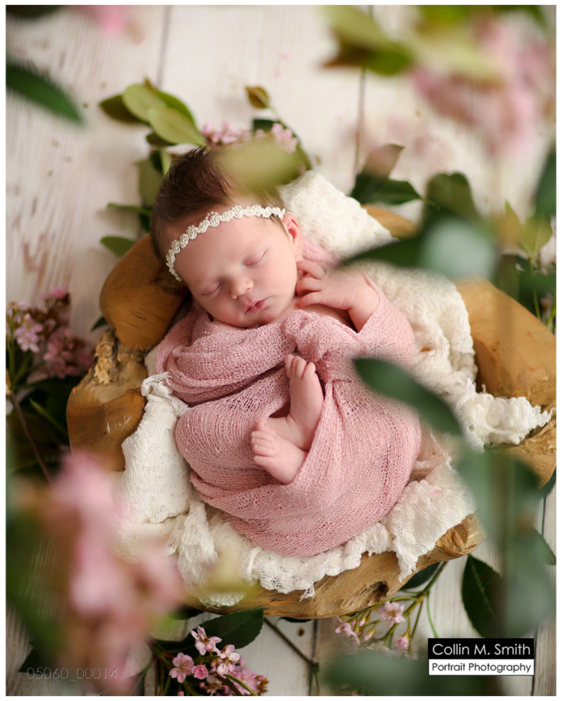 © Collin M. Smith Portrait Photography www.cmsmithportraits.com/blog